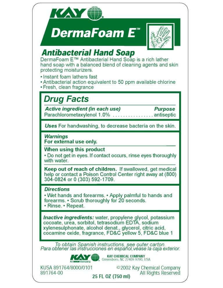 DermaFoam E