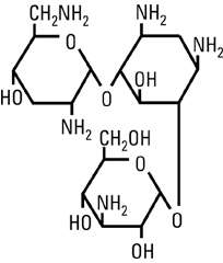 Tobramycin in Sodium Chloride