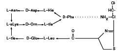 Neomycin and Polymyxin B Sulfates and Bacitracin Zinc