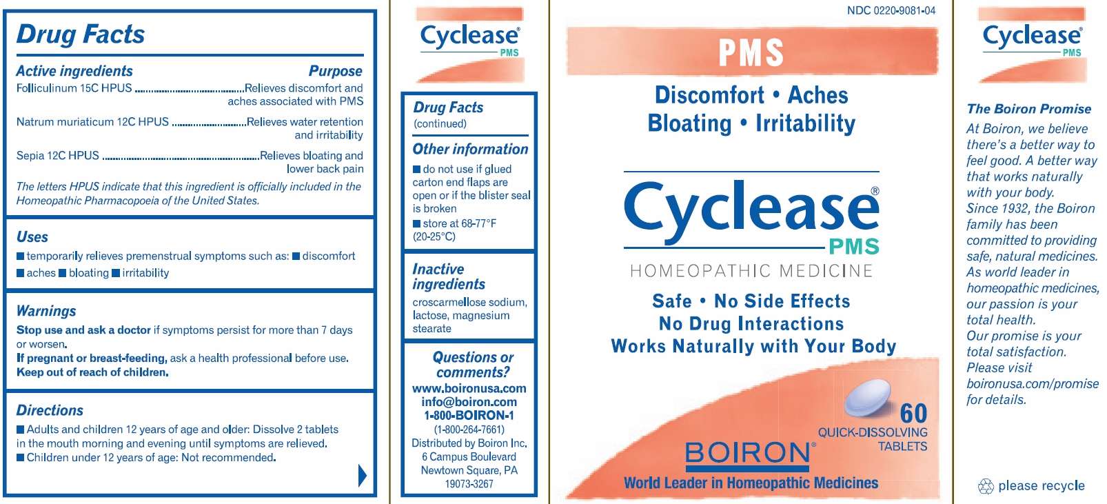 Cyclease PMS