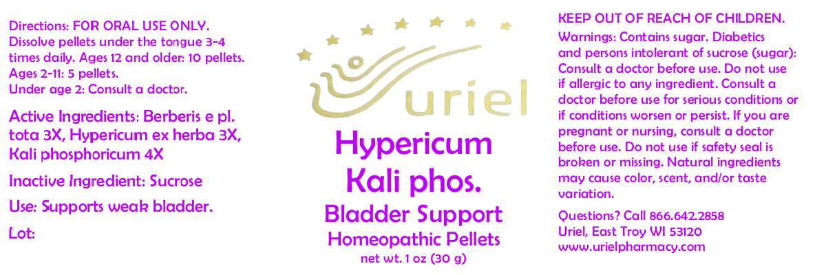 Hypericum Kali Phos. Bladder Support