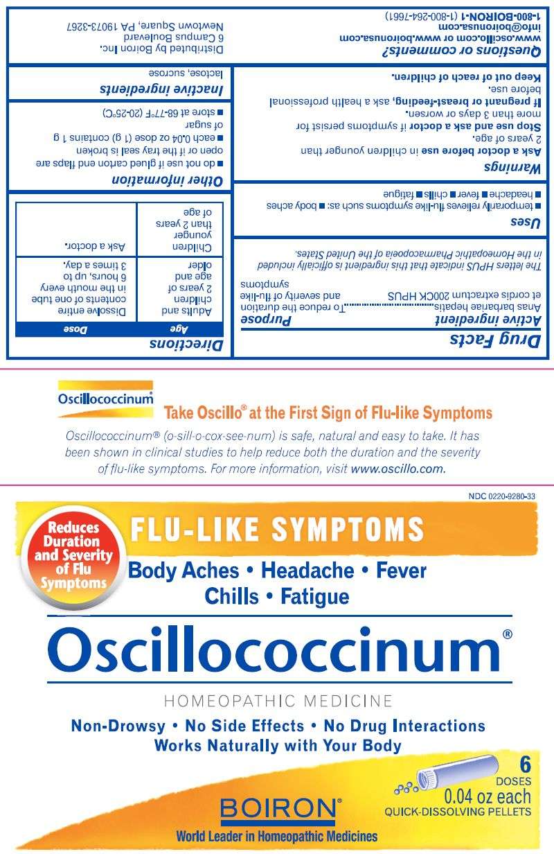 Oscillococcinum