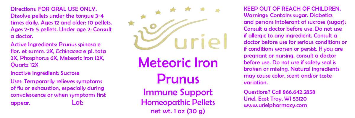 Meteoric Iron Prunus Immune Support