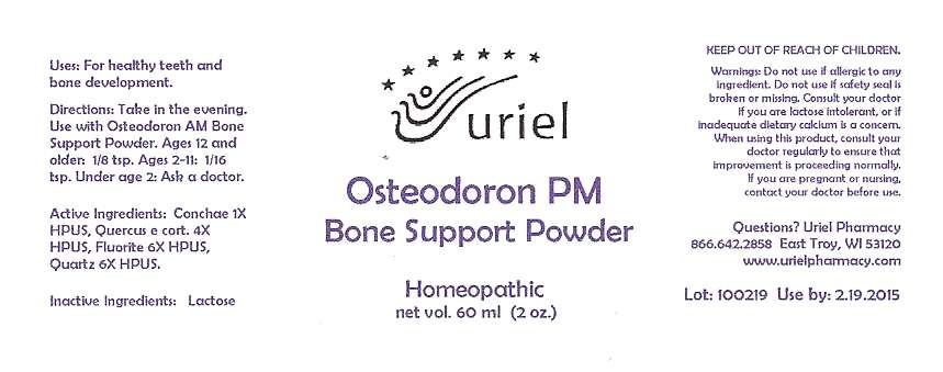 Osteodoron PM Bone Support