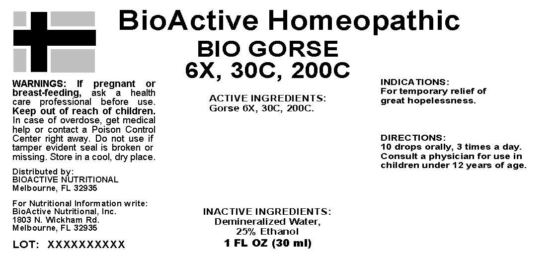 Bio Gorse