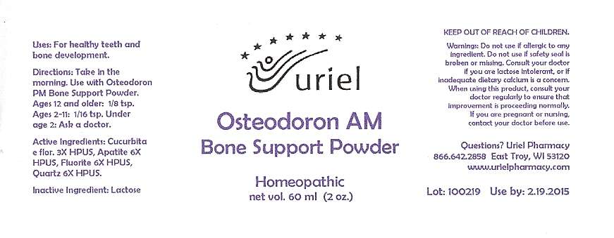 Osteodoron AM Bone Support