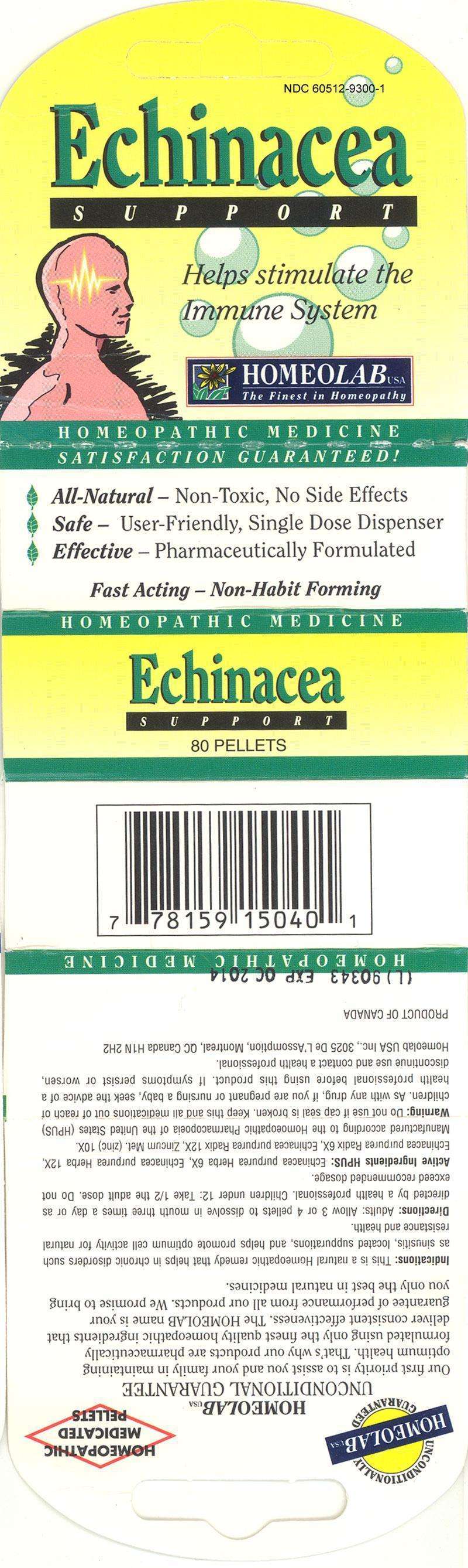 ECHINACEA SUPPORT