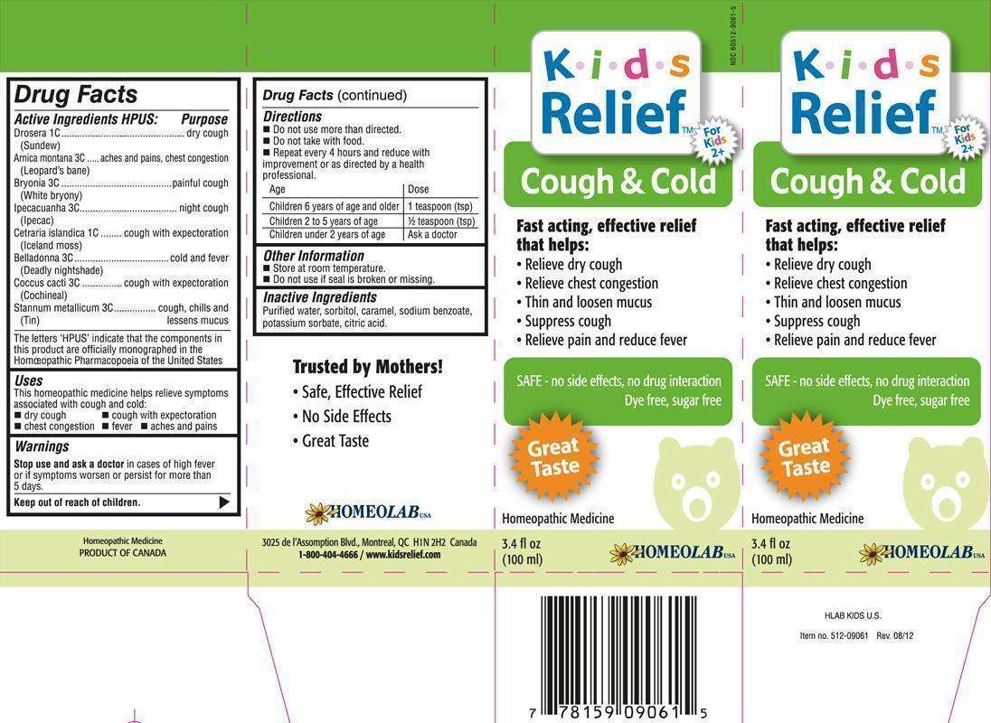 COUGH AND COLD KIDS RELIEF