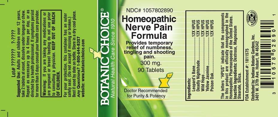 Homeopathic Nerve Pain