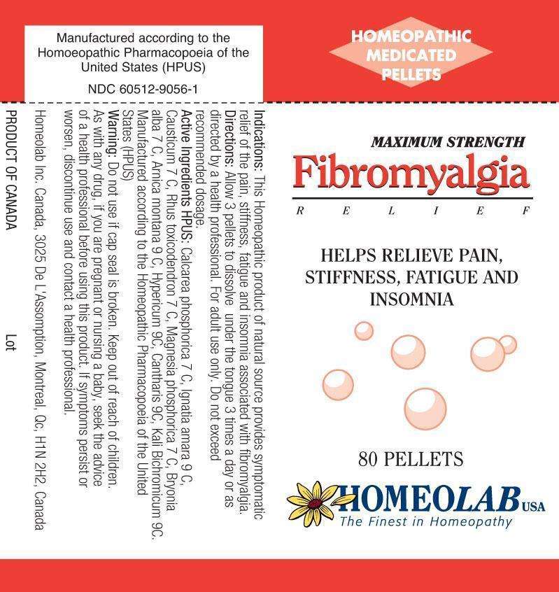 FIBROMYALGIA RELIEF