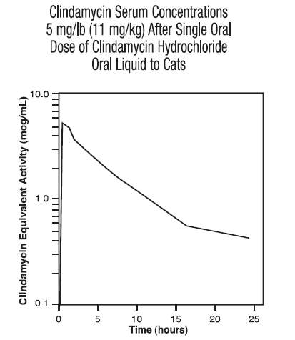 Clindamycin Hydrochloride Oral