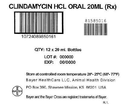 Clindamycin Hydrochloride Oral