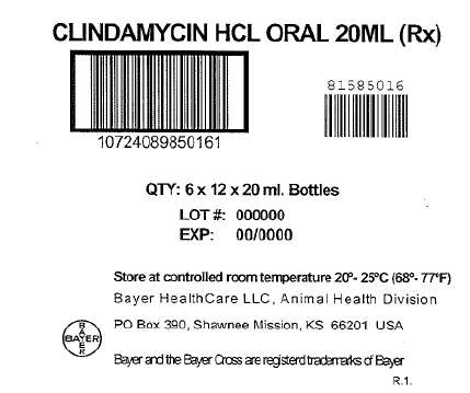 Clindamycin Hydrochloride Oral