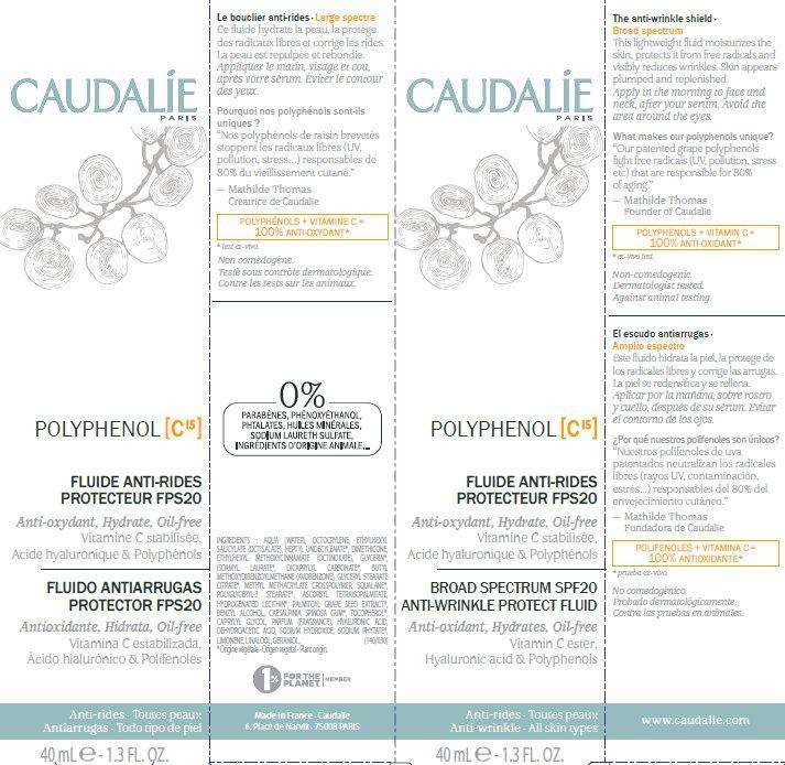 POLYPHENOL C15 BROAD SPECTRUM SPF20 ANTI-WRINKLE PROTECT FLUID