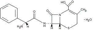 CEPHALEXIN