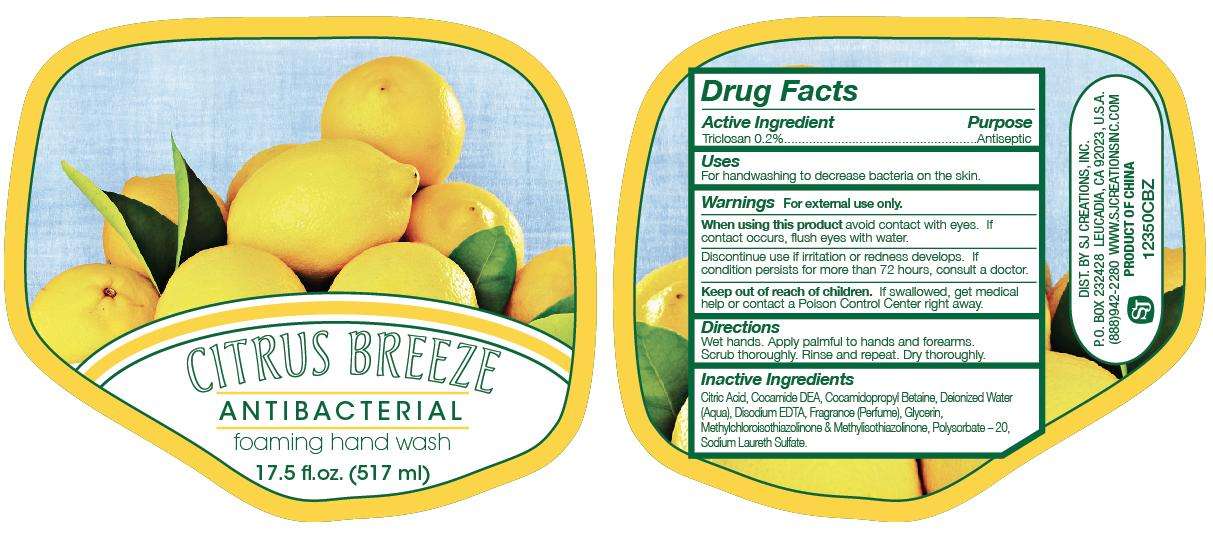 Citrus Breeze Antibacterial Foaming Hand Wash