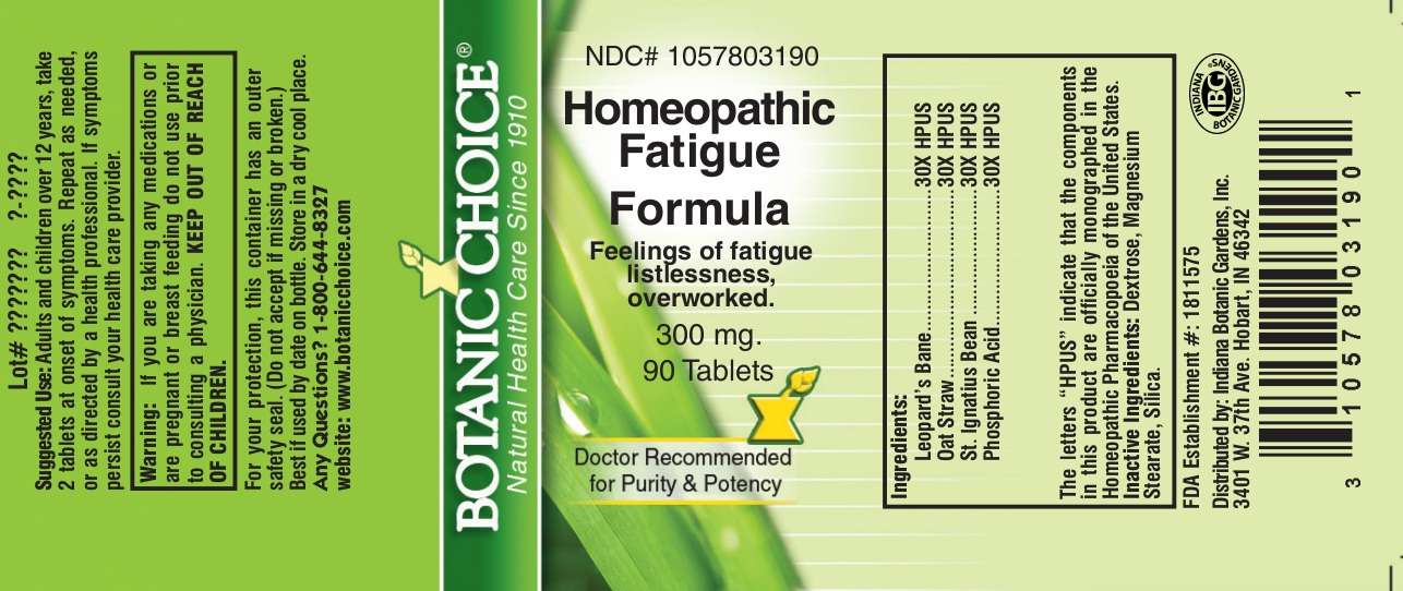 Homeopathic Fatigue Formula