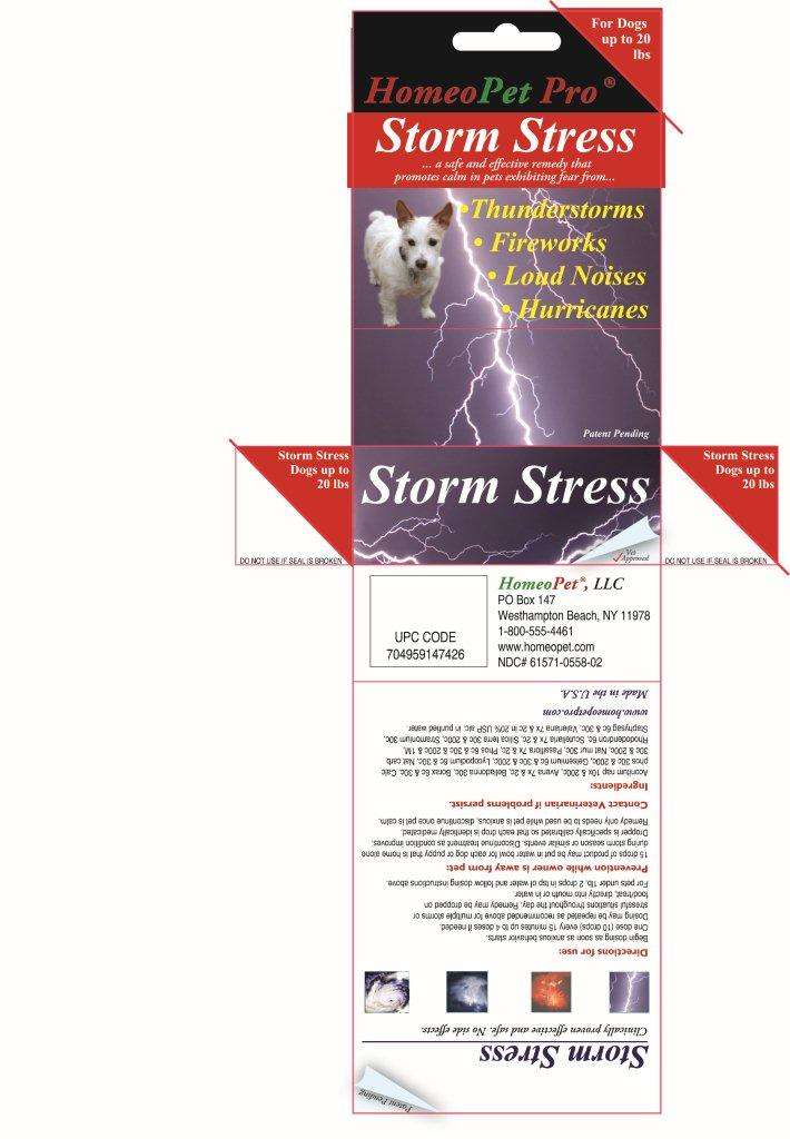 Storm Stress