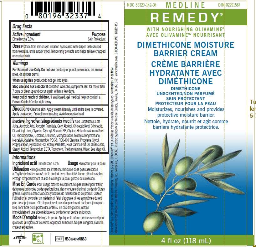 Remedy Dimethicone Moisture Barrier