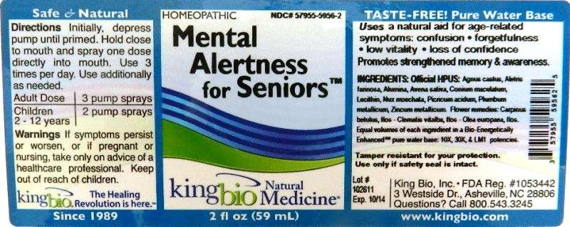 Mental Alertness for Seniors