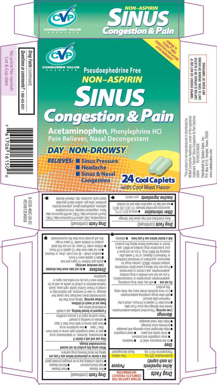 Sinus Congestion and Pain