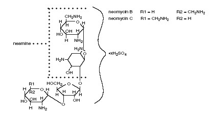 Neomycin Polymyxin B Sulfates and Dexamethasone