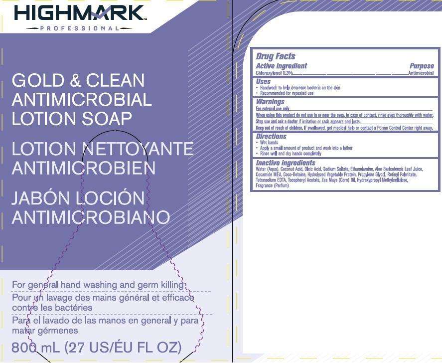 Highmark Professional Gold and Clean Antimicrobial Ltn Sp