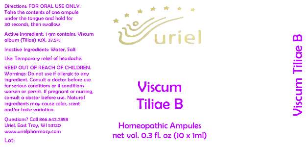 Viscum Tiliae