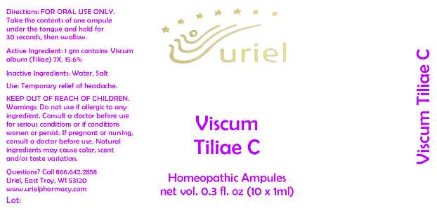 Viscum Tiliae