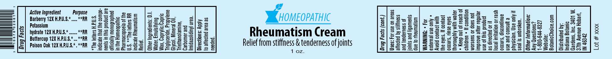 Homeopathic Rheumatism