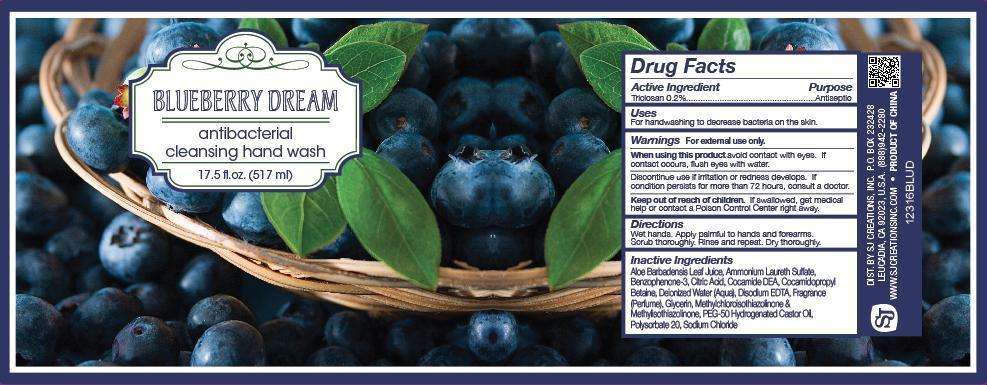 Blueberry Dream Antibacterial Hand Wash