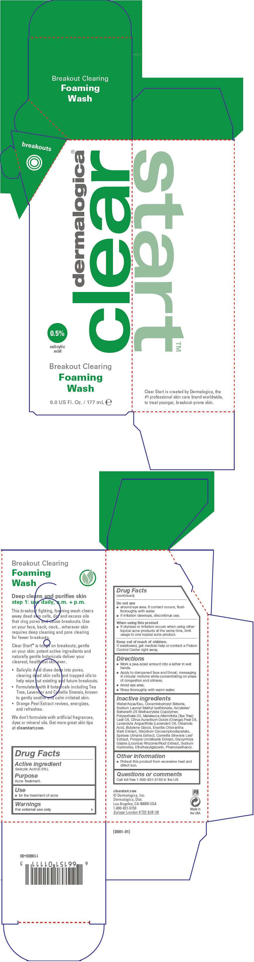Breakout Clearing Foaming Wash