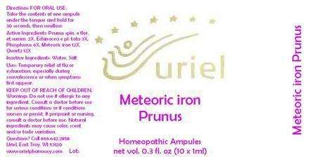 Meteoric Iron Prunus