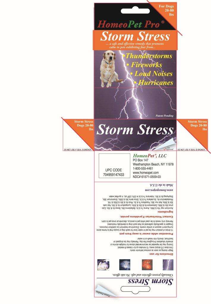 Storm Stress