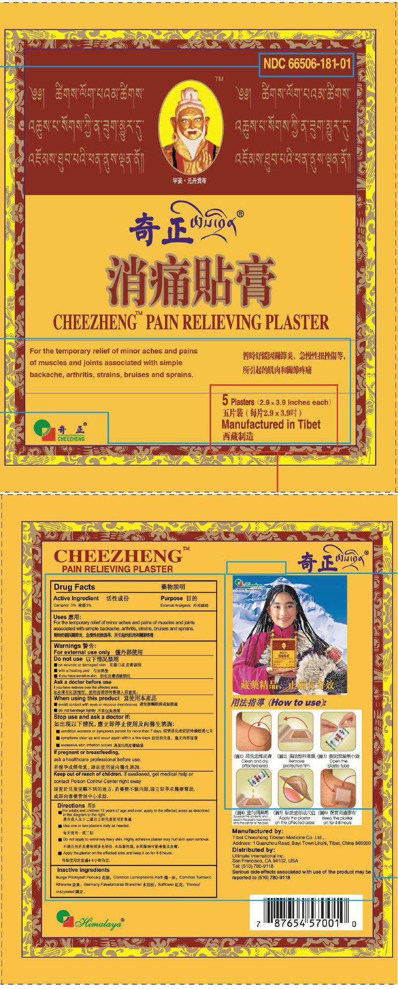 Cheezheng Pain Relieving