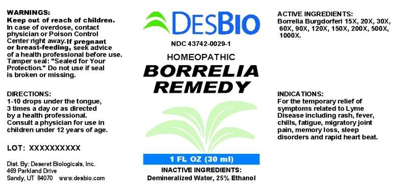 Borrelia Remedy