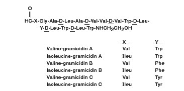 Neomycin and Polymyxin B Sulfates and Gramicidin