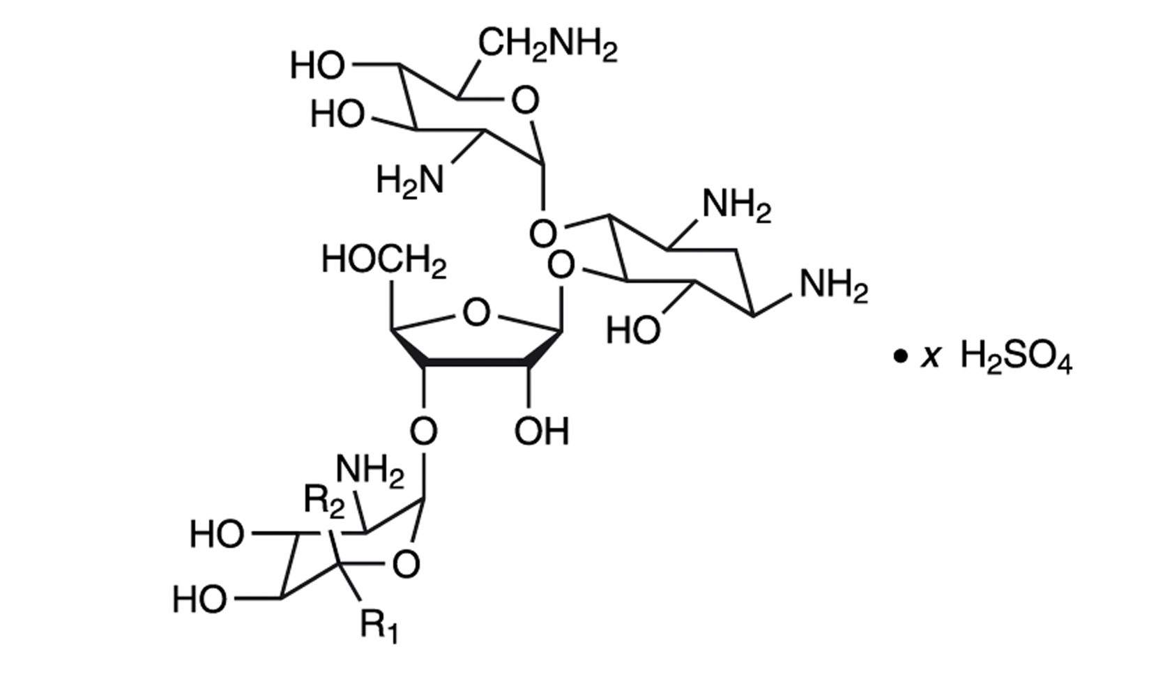 Neomycin and Polymyxin B Sulfates and Dexamethasone