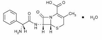 Cephalexin