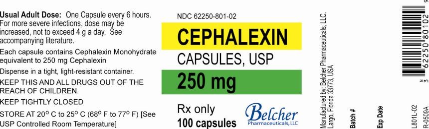 Cephalexin