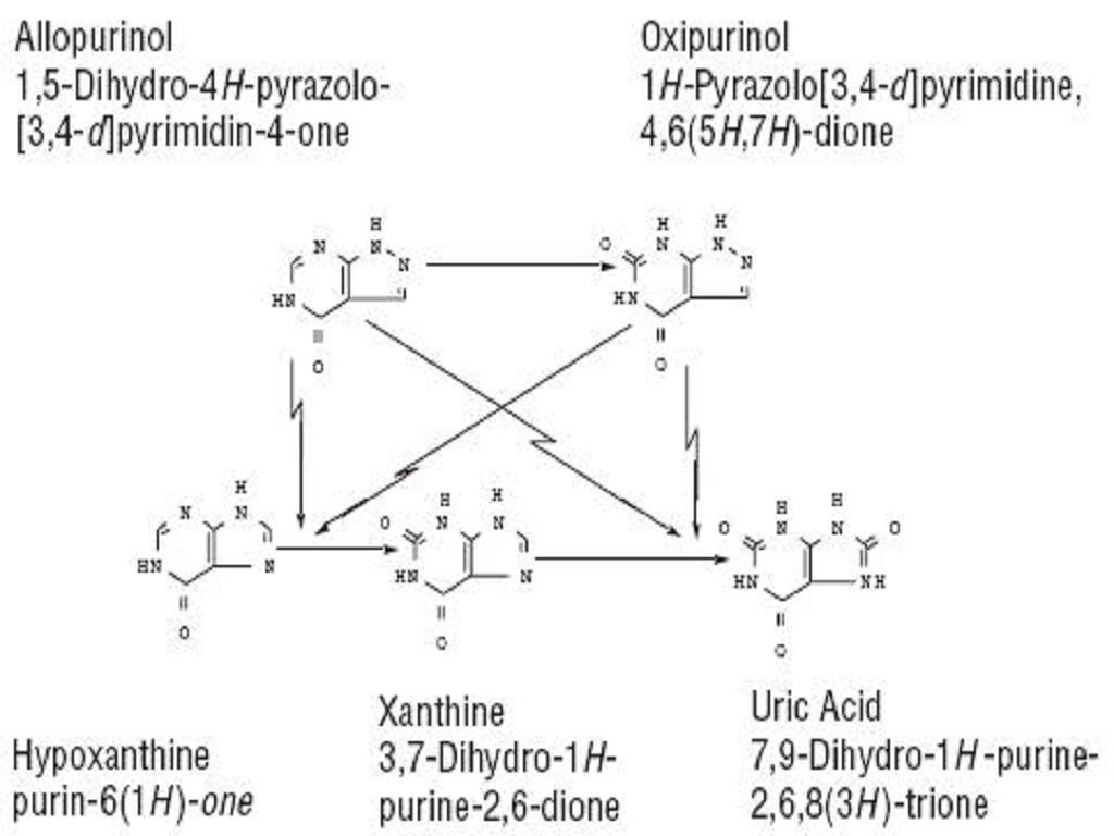 ALLOPURINOL