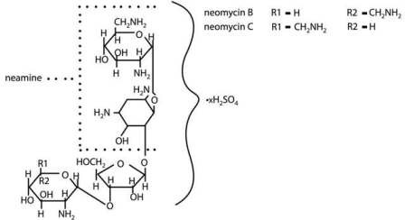 NEOMYCIN AND POLYMYXIN B SULFATES AND DEXAMETHASONE