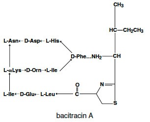 Bacitracin