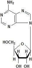 Adenosine